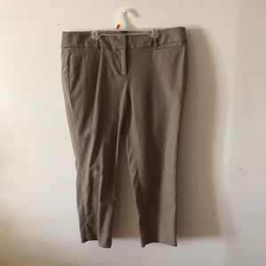Loft cropped pant